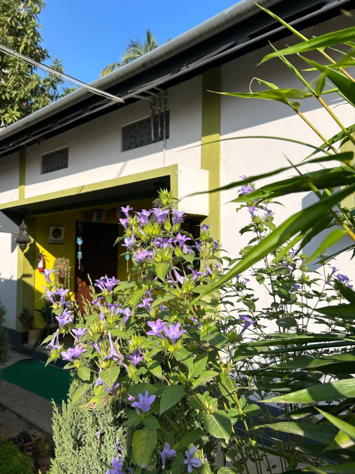 Stargaze Backpackers Hostel Guwahati Eksteriør bilde